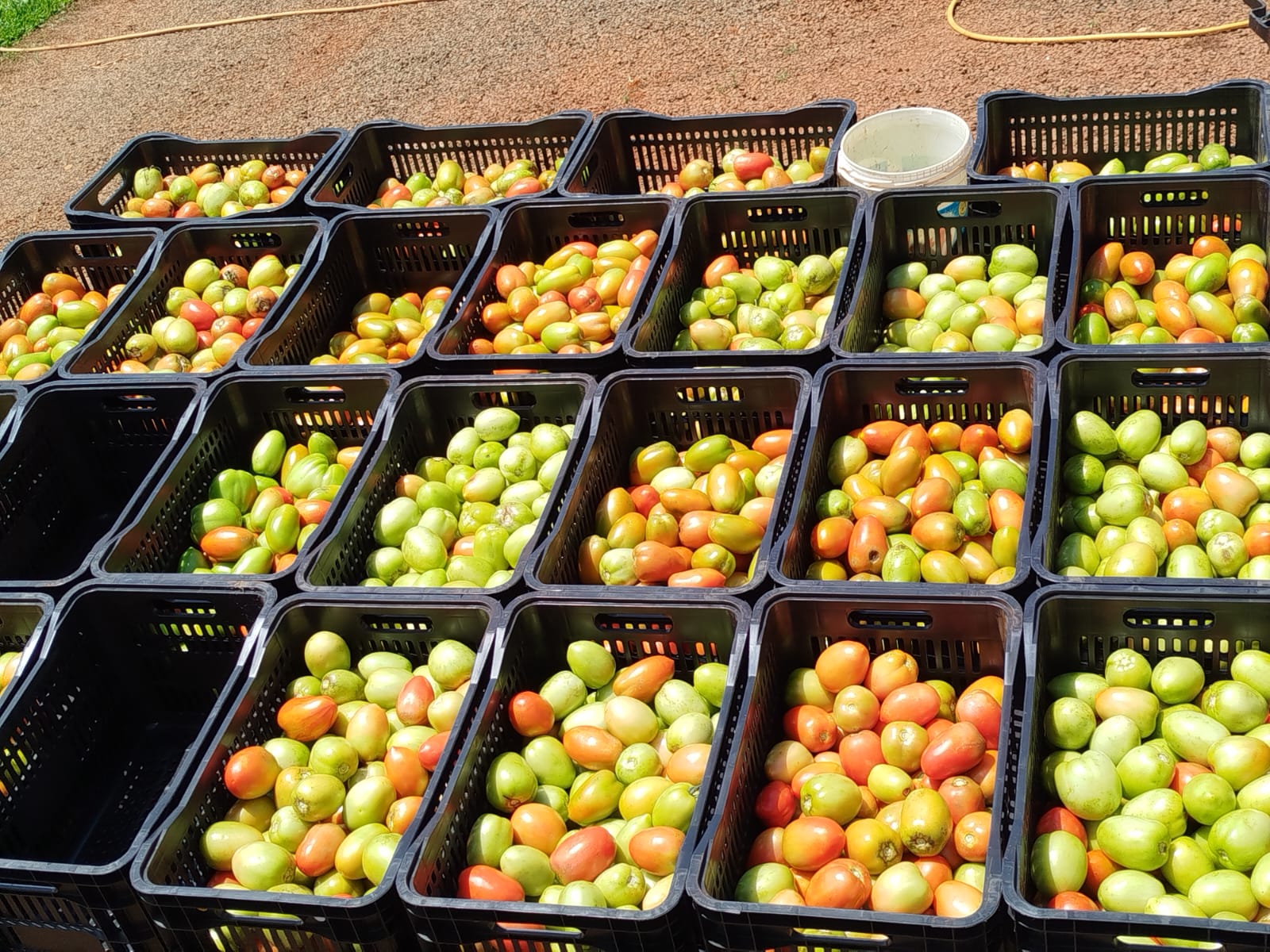 Vista panorâmica da Chácara Erika em Arapoti